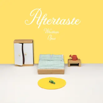Download Aftertaste (feat. Opia) Whethan MP3