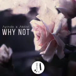 Why Not - Single by Joe Ayinde album reviews, ratings, credits