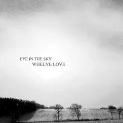 Whelve Love - Single by Eye In The Sky album reviews, ratings, credits