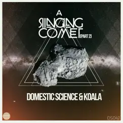 A Singing Comet (La Rose Remix) Song Lyrics