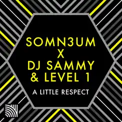 A Little Respect - Single by DJ Sammy, Level 1 & Somn3um album reviews, ratings, credits