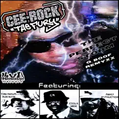 The Perfect Storm (feat. Coole High, Tah Phrum Duh Bush & Mikey D'Struction) [G. Boof Remyxx] Song Lyrics