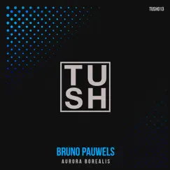 Aurora Borealis - Single by Bruno Pauwels album reviews, ratings, credits