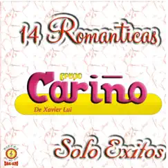 14 Románticas Solo Éxitos by Grupo Cariño album reviews, ratings, credits