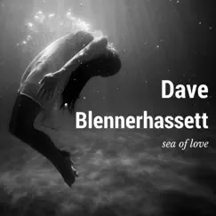 Sea of Love - Single by Dave Blennerhassett album reviews, ratings, credits