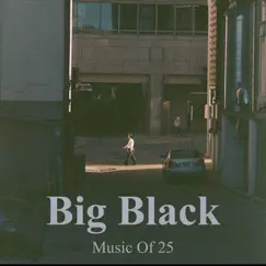 Big Black by Music of 25 album reviews, ratings, credits