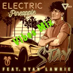 Stay (feat. Ryan Lawrie) [Electric Pineapple vs. Vibes Remixes] - Single by Electric Pineapple album reviews, ratings, credits