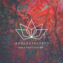 Only You (feat. Felish) - Single by Soul Catalyst album reviews, ratings, credits