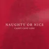 Naughty or Nice - Single album lyrics, reviews, download