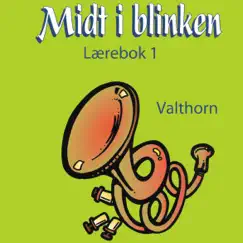 Midt i blinken - Valthorn - Lærebok 1 by Reidun Gran, Elisabeth Vannebo & Stein Ivar Mortensen album reviews, ratings, credits