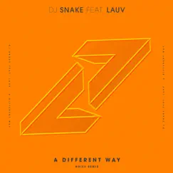 A Different Way (feat. Lauv) [Noizu Remix] Song Lyrics