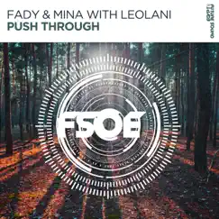Push Through (with Leolani) - Single by Fady x Mina & Leolani album reviews, ratings, credits