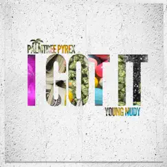 I Got It (feat. Young Nudy) - Single by Palmtree Pyrex album reviews, ratings, credits