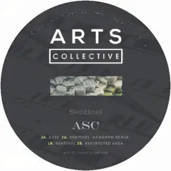 Sentinel - EP by Axis, Sentinel & Restricted Area album reviews, ratings, credits