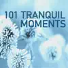 101 Tranquil Moments - Sleep Through the Night, Easy Sleep Training Soul Cleansing Melodies album lyrics, reviews, download