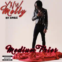 Medium Fries - Single by YNW Melly album reviews, ratings, credits