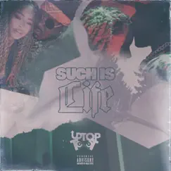 Such Is Life - Single by UpTop Toot album reviews, ratings, credits