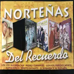 Norteñas del Recuerdo by Los Dos De Michoacán, Pedro y Manuel & Los Dolidos Del Norte album reviews, ratings, credits