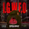 Igwfo (I Guess We Fell Out) album lyrics, reviews, download