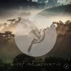 Wildfire (Acoustic) - Single by Y SO SAD album reviews, ratings, credits