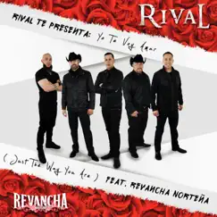 Yo Te Voy Amar (feat. Revancha Norteña) - Single by Rival album reviews, ratings, credits