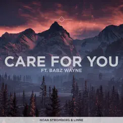 Care For You (feat. Babz Wayne) Song Lyrics