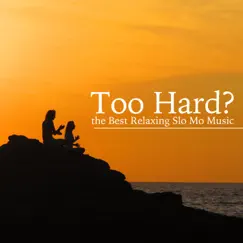 Too Hard? New Age Collection of the Best Relaxing Slo Mo Music for Meditation & Yoga by Chakra Ray album reviews, ratings, credits