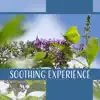 Soothing Experience album lyrics, reviews, download