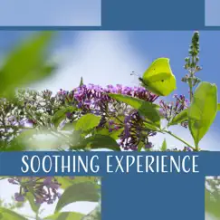 Soothing Experience by Gentle Crystal Sounds Divine album reviews, ratings, credits