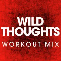 Wild Thoughts (Extended Workout Mix) Song Lyrics