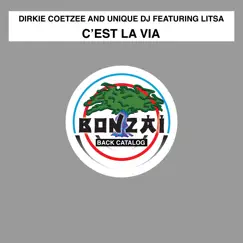 C'est La Vie (feat. Litsa) [Sourcee Remix] Song Lyrics