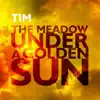 The Meadow Under a Golden Sun album lyrics, reviews, download