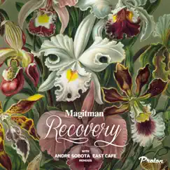 Recovery - Single by Magitman album reviews, ratings, credits