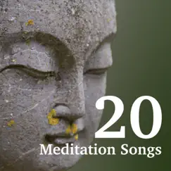 20 Meditation Songs: The Very Best in the New Age Music Scene by Meditation Music Masters & Ambient Arena album reviews, ratings, credits