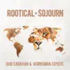 Rootical Sojourn album lyrics, reviews, download