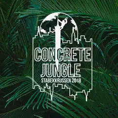 Concrete Jungle 2018 (feat. J-Dawg) Song Lyrics