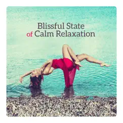 Blissful State of Calm Relaxation - Empty Your Mind, Rest, Drift into Dreaming, Delicate, Tranquil Sounds by Deep Relaxation Exercises Academy album reviews, ratings, credits