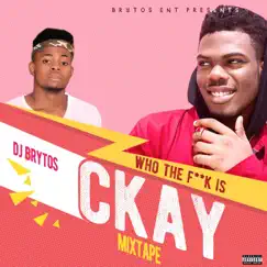 Who the F**k Is Ckay Mixtape by DJ Brytos & CKay album reviews, ratings, credits