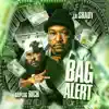 Bag Alert (feat. DaPlug Rich) - Single album lyrics, reviews, download