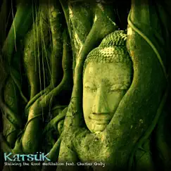 Stalking the Root Meditation by KatsüK album reviews, ratings, credits