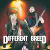 Different Breed (feat. Intrinzik) song lyrics