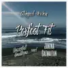 Perfect Fit (Stripped Version) - Single album lyrics, reviews, download