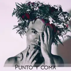 Punto y Coma Song Lyrics