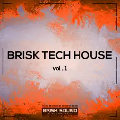 Brisk Tech House, Vol. 1 by Jakub Сheerful & Vais album reviews, ratings, credits