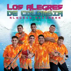 Alegría Sonidera by Los Alegres de Colombia album reviews, ratings, credits