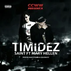 Timidez (feat. Mary Hellen) Song Lyrics