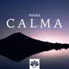 Música Calma con Sonidos Instrumentales para Dormir Profundamente album lyrics, reviews, download