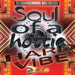 Soul of a Hottie (Hard Vibe) - Single by DJ Dangerous Raj Desai album reviews, ratings, credits