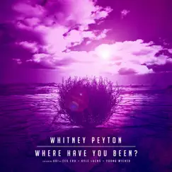 Where Have You Been? (feat. Kyle Lucas, UBI & Young Wicked) Song Lyrics
