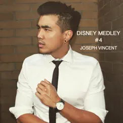 Disney Medley #4: Go the Distance / Can You Feel the Love Tonight / A Dream Is a Wish Your Heart Makes Song Lyrics